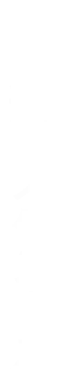 年間スケジュール